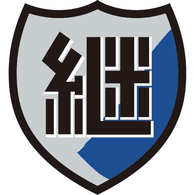 I_J_N emblem