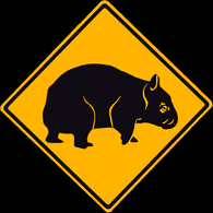 WMPAK emblem