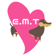 EMT emblem