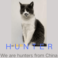 HUNTE emblem