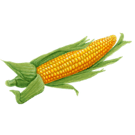 CNCOB emblem