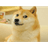 TASR emblem