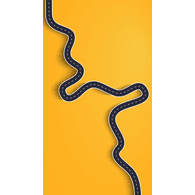 AUV emblem