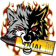 DUAL emblem