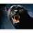 LPRD emblem