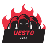 IEEE emblem