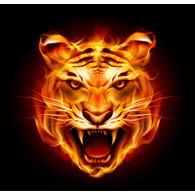 TW-FT emblem