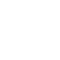 TAO emblem
