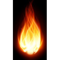 CRN emblem