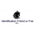 IFF emblem