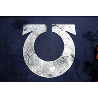 XIII emblem