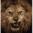 VTC emblem
