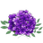 VBNQ emblem