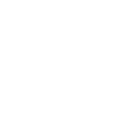 4WD emblem
