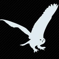 OWLS emblem