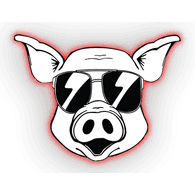 P1GS emblem