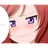 NDK emblem