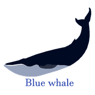 BLWL emblem
