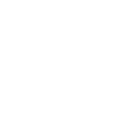 IU_KN emblem