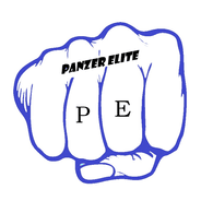 P_E emblem