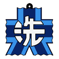 OARAY emblem