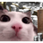 TENTO emblem