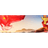 -SCR emblem