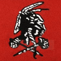 TEAM6 emblem