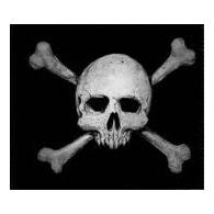 S_DIV emblem