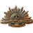 A-N-Z emblem