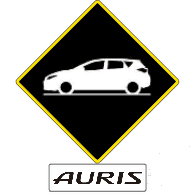 AURIS emblem