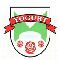 Y-G emblem