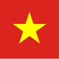 NB_VN emblem