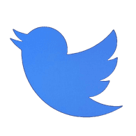 BBIRD emblem