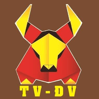 TV_DV emblem