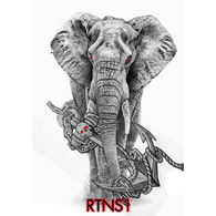 RTNS1 emblem