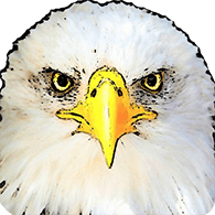 ROC5A emblem