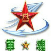 13996 emblem