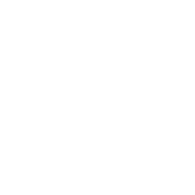 N4TCK emblem