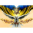 UK_1 emblem