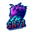 SR71 emblem