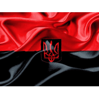SSUA emblem