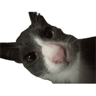 BETKA emblem