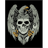 ALTUS emblem