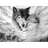 SRAKA emblem