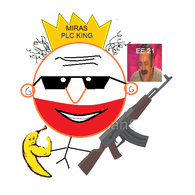 MIREK emblem