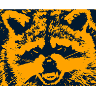 RRACC emblem