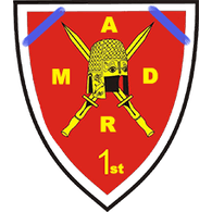 1ADRM emblem