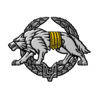 S_S_O emblem