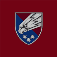 FLFIR emblem